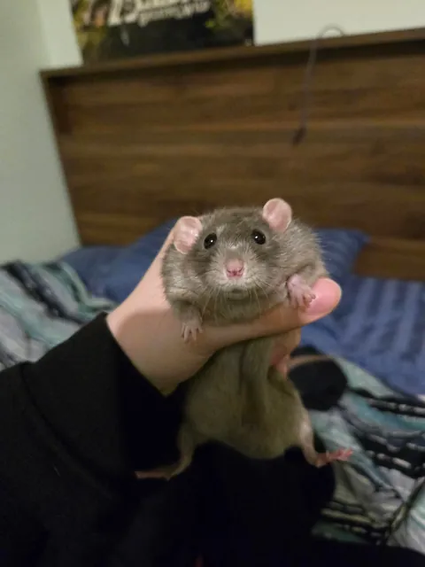 WHY IS JIMILY SO PHOTOGENIC