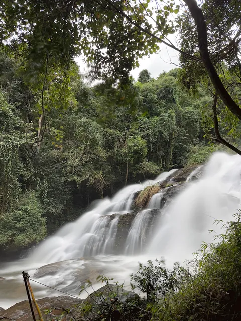 5 Days in Chiang Mai reflection. Slower Pace + Crisp Air + omg Khao Soi (curry noodle soup)