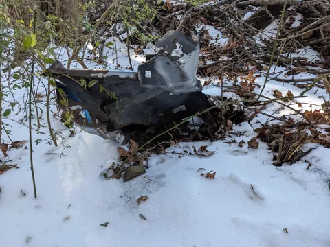 Updates on the sweet ice princess, Elsa!