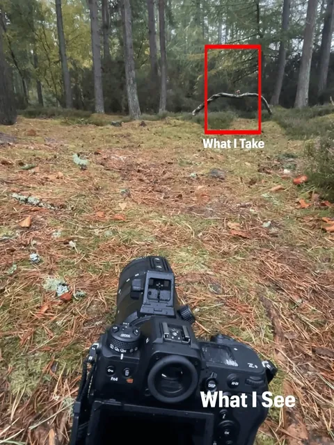 Photographer Shows His POV vs The Photos He Takes.
