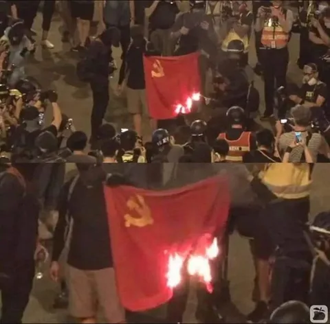 Protesters in HK burn the CCP flag