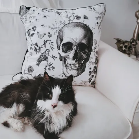 His final moments was this morning,  im broken.