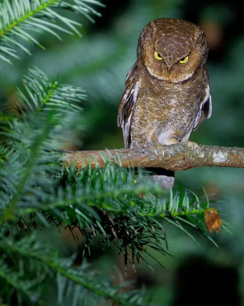 🔥🔥the Best funny nature pics