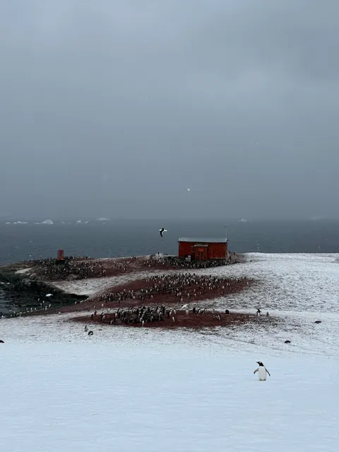 Otherworldly photos from recent trip to Antarctica!