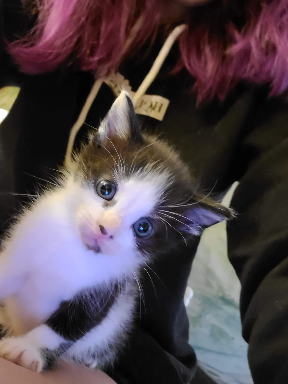 She climbed her way up on my lap