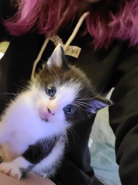 She climbed her way up on my lap