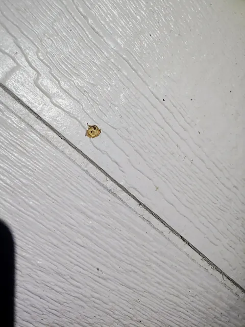 Neighbor just shot my house. I moved in two weeks ago.