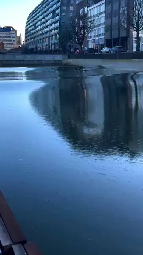 Thin sheet of ice in a wave pool