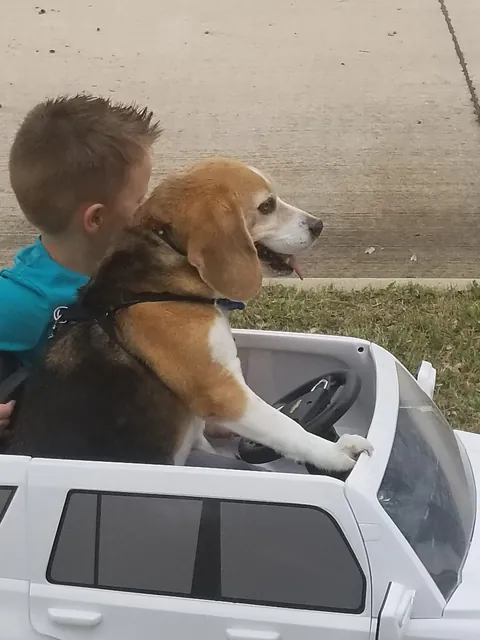 (OC) They see me rollin'
