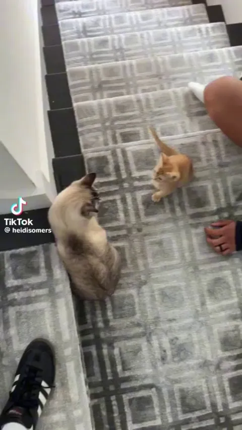 He better stay away, I’m furocious