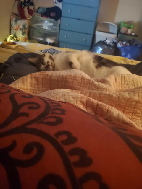 This normal after I get surgery???