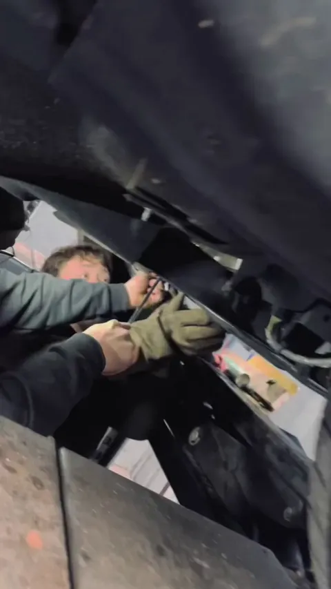 I think this is how shop cats are born 