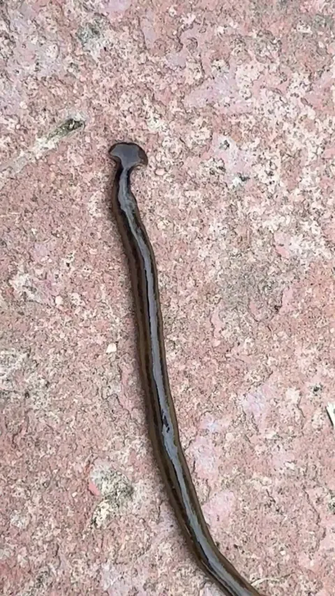 Am I right about isolating this guy?