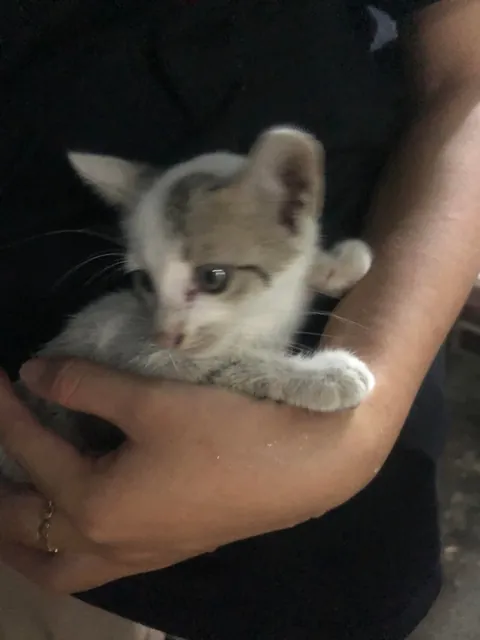 I just adopted him❤️