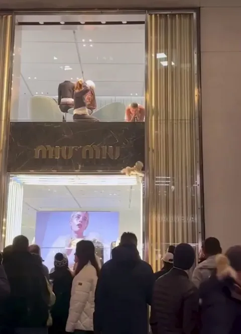 Rescuing a stuck puppy