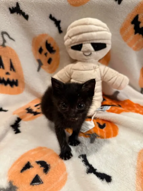 She’s 12oz this morning!!!!!