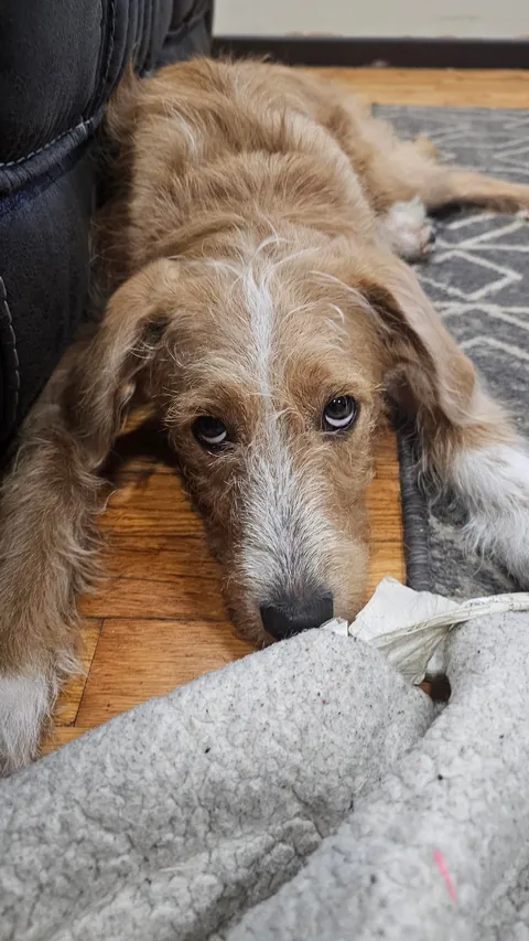 Don't chew the tag.... okay! 😁