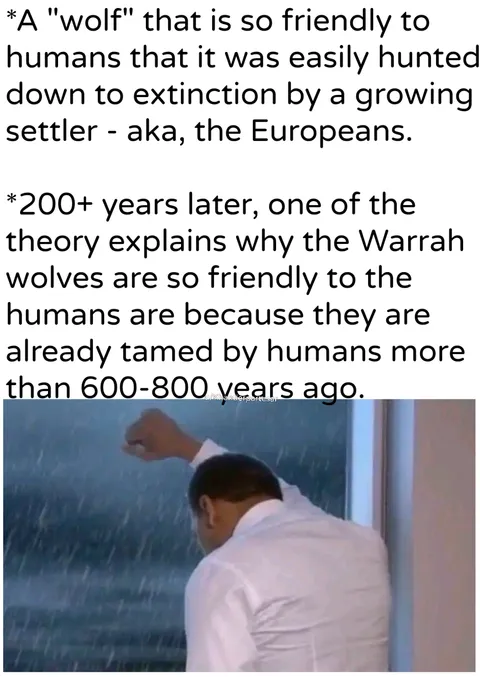 "their friendliness will lead them to extinction"