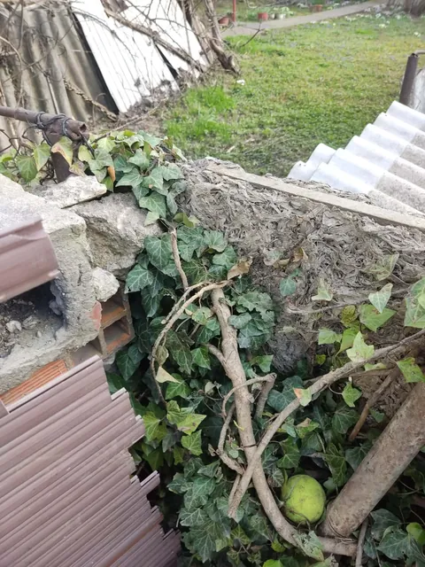 Just found out i have asbestos in my fence and my dog has been standing and scratching it for 2 years.