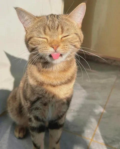 The sun Warmth is all she needs ✨✨