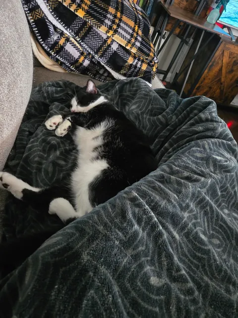 Today we let you go so you can thrive baby Remy.