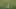 Rory McIlroy at last claims green jacket at The Masters, career grand slam