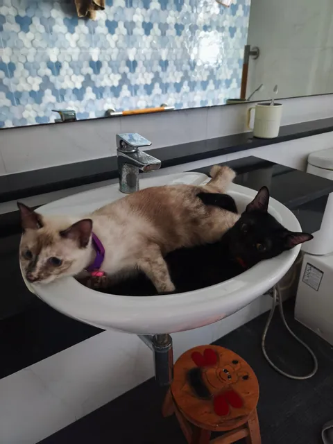 Her favorite spot, as so her sis, hahaha