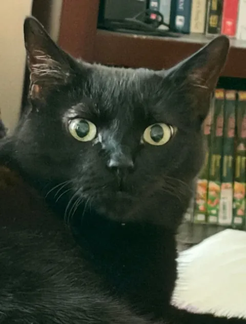 Sonya’s second adoptaversery
