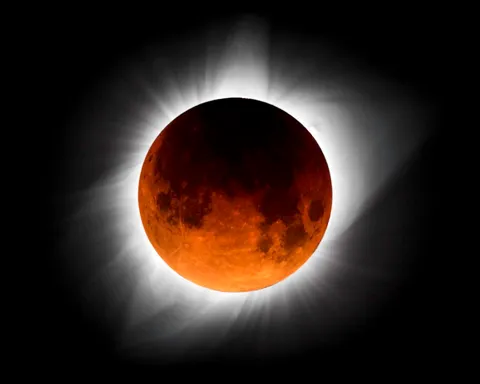 I merged my solar and lunar eclipse photo into this composite: a solunar eclipse!