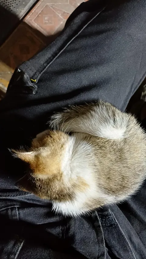 Our blue collar coworker can't handle Nightshift