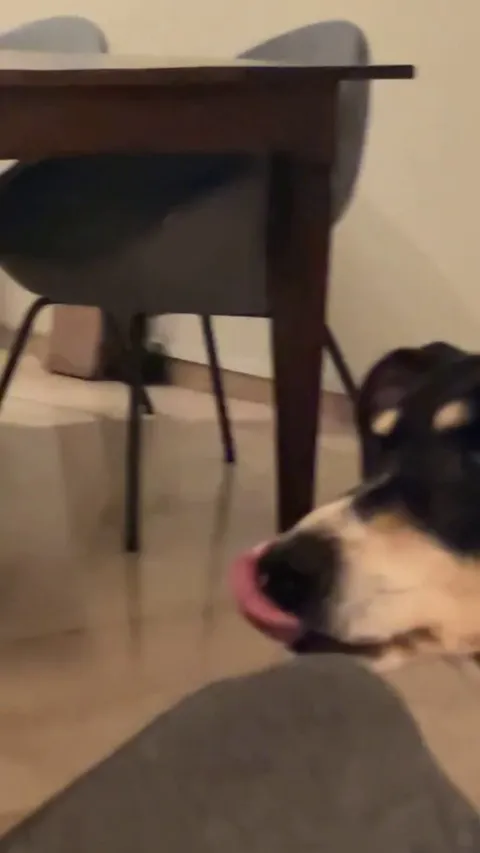 My mother (F65) and my dog (M14) sharing an apple