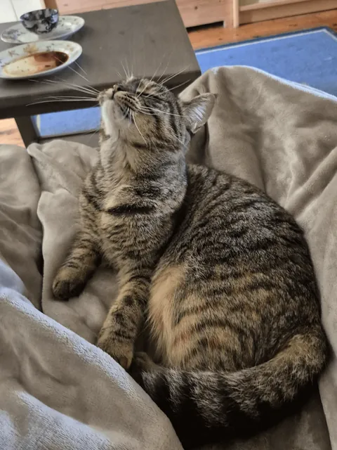 When you smell your mom preparing the GOOD food