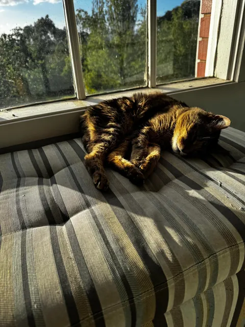 Leo turned 20 today! 🎉🎉🎉