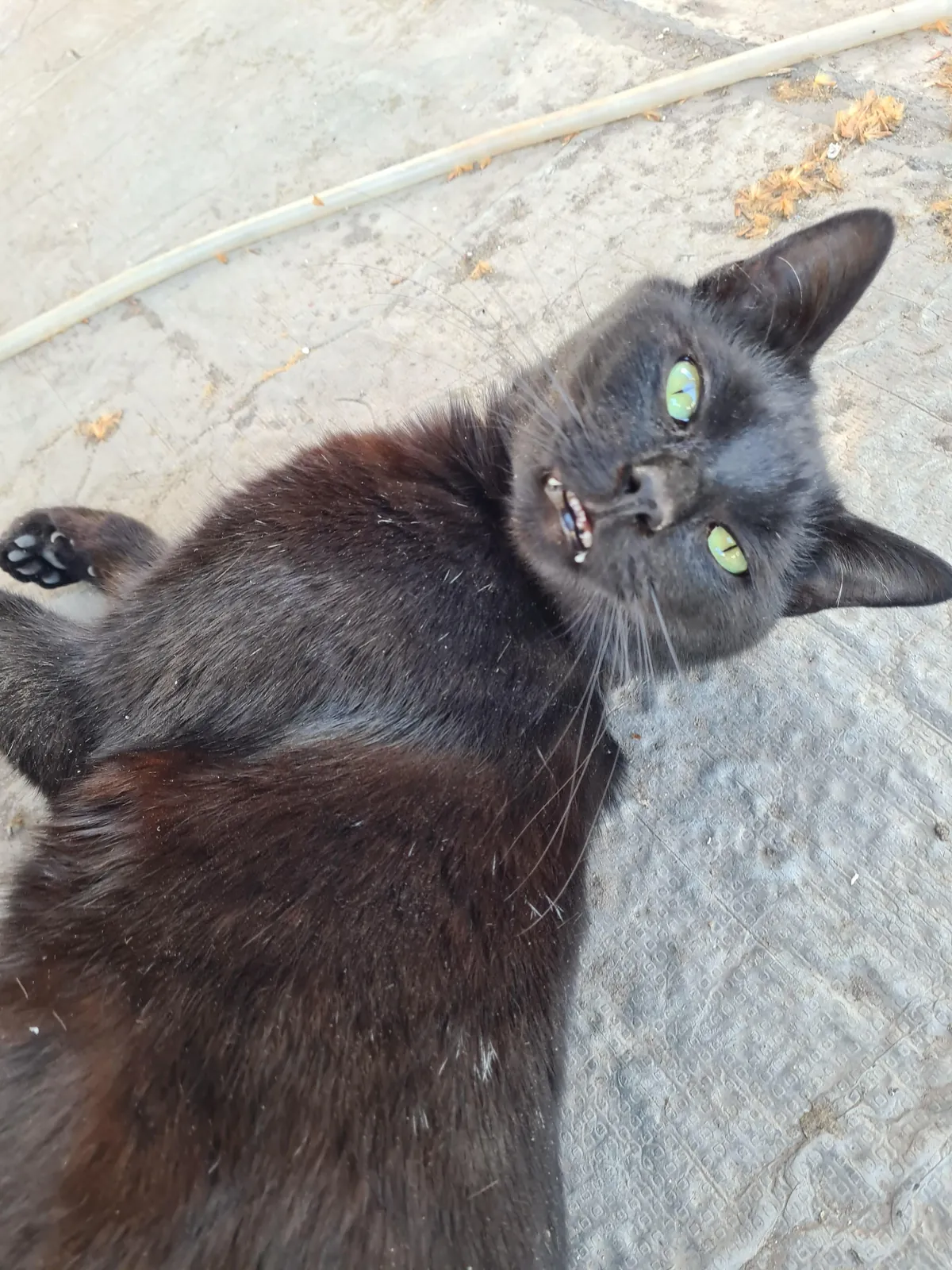 The love of my life. I have never loved anyone as much as I love my baby 😭💘