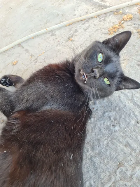 The love of my life. I have never loved anyone as much as I love my baby 😭💘