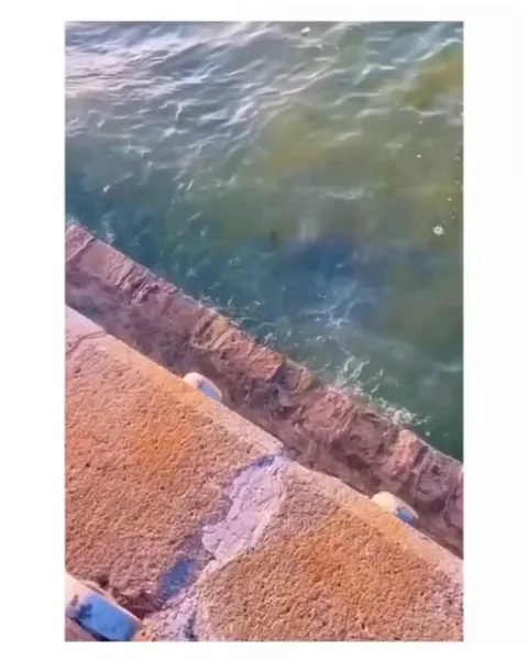 Smarter than 90% of humans. 