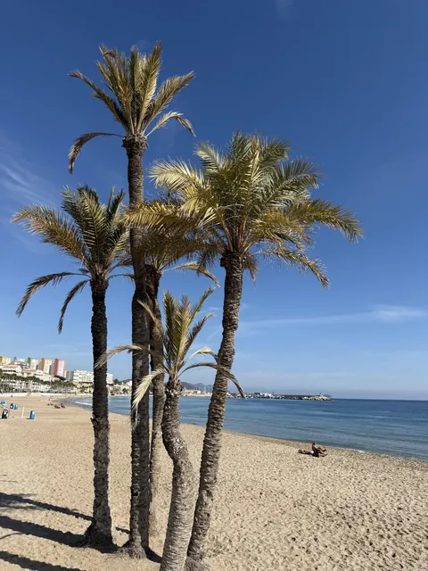 Visit to Spain: 2 weeks Alicante/Murcia/Barcelona