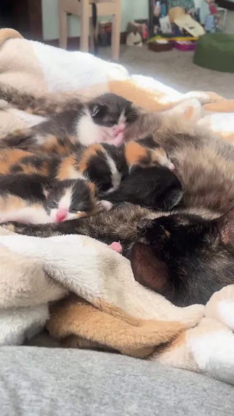 She had her babies