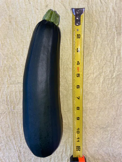 Can’t believe this is happening!!! First year gardener <3