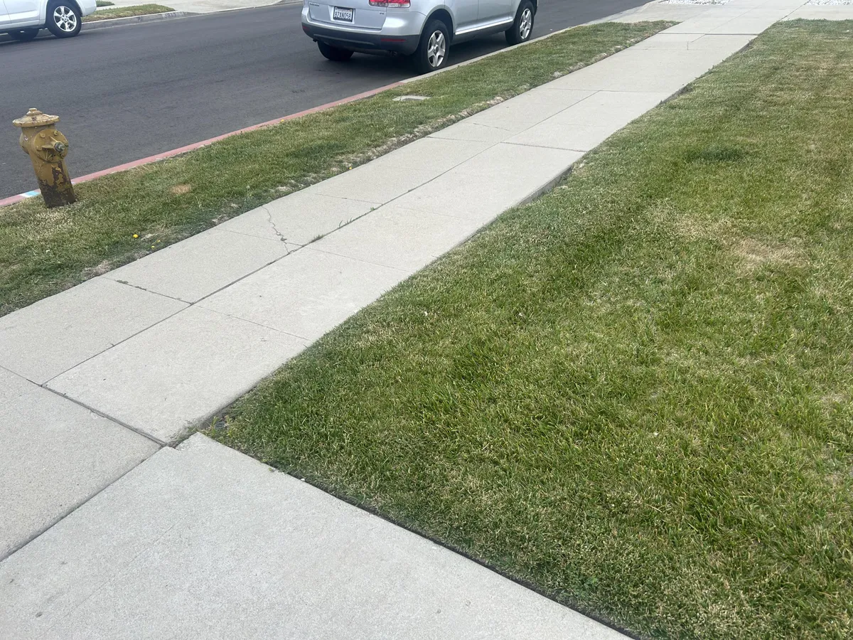 The Black Dahlia’s body was discovered at this exact location 78 years ago.
