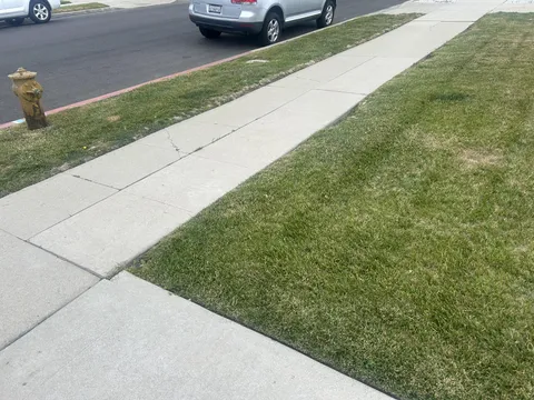 The Black Dahlia’s body was discovered at this exact location 78 years ago.