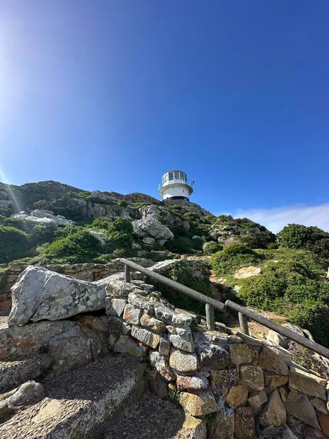 Cape Town is my new favorite city 🇿🇦