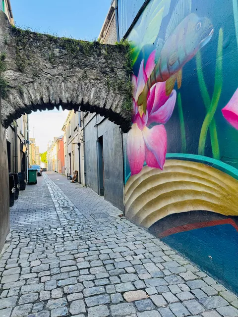 My trip to Ireland (Dublin, Killarney, and Galway)