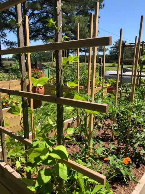 My Wife's Raised Bed Garden Over the Years