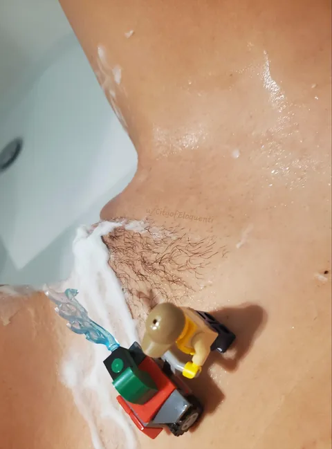 Seasonal maintenance services (f)