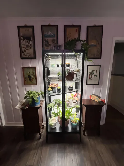 Hubby surprised me for my Bday 😍