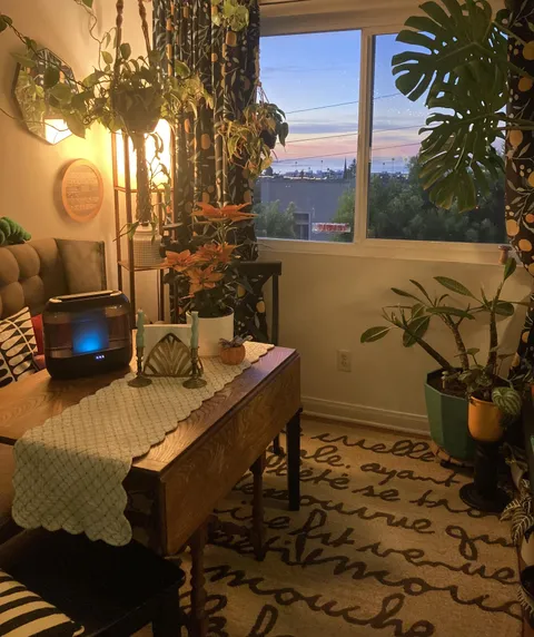 Beautiful sunrise in California. Happy plants! 🪴 Happy Life! Coffee is brewing…