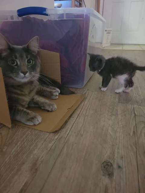 "You won't want to deal with it"