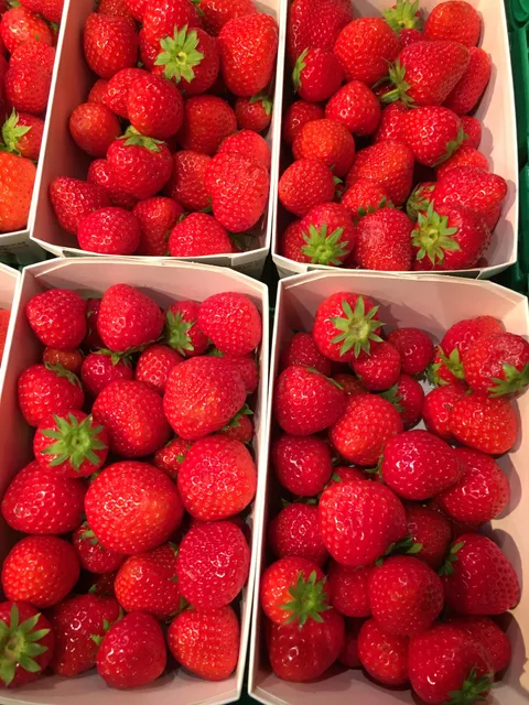 [Found] Some of the most beautiful strawberries I have ever seen