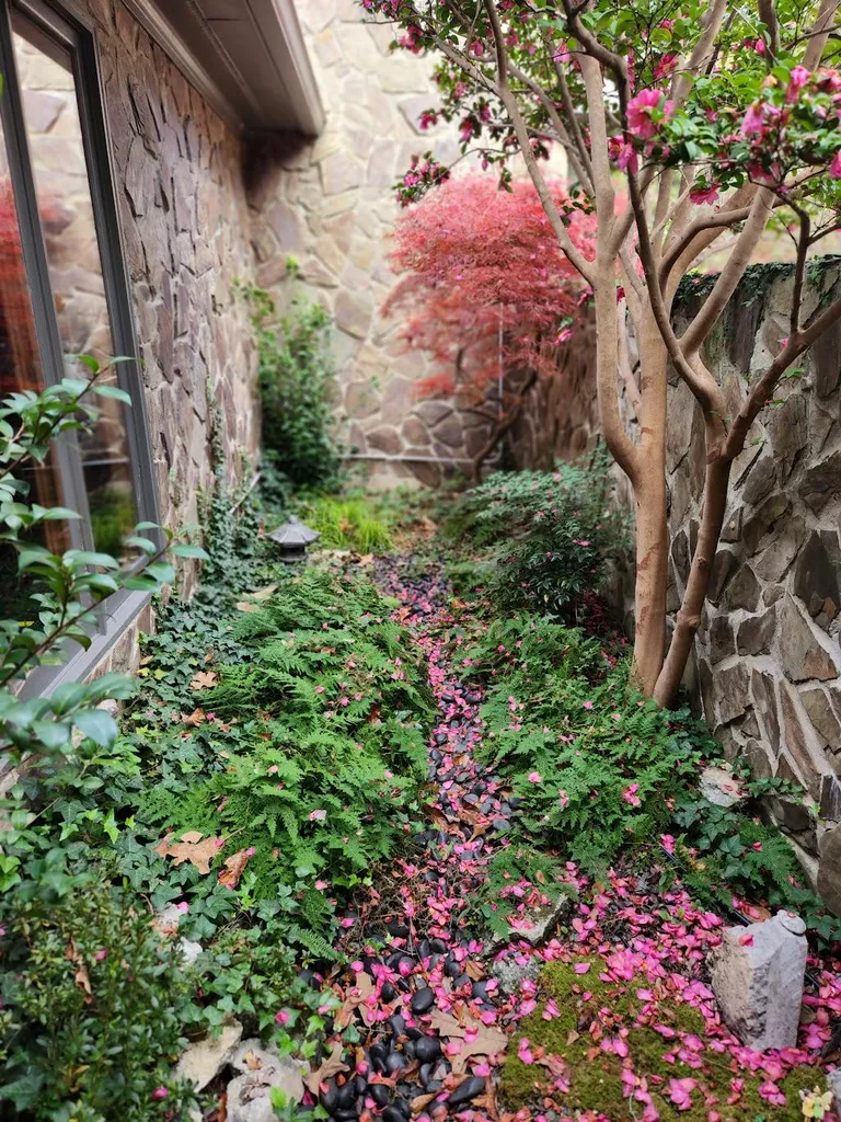 A magical  flowered path in the courtyard beside the entrance of my home